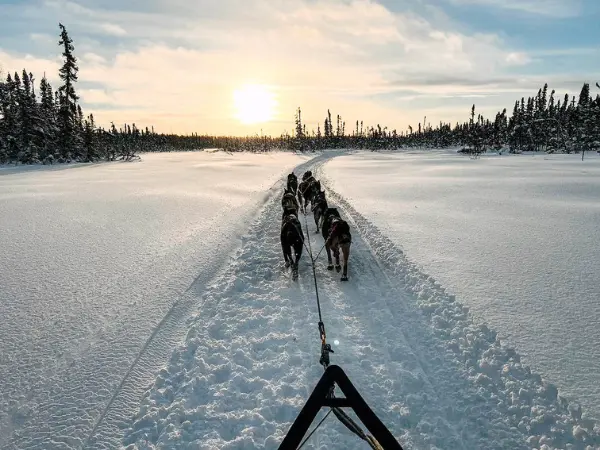 Alaska Winter Dog Sled Tours | Susitna Sled Dogs Talkeetna